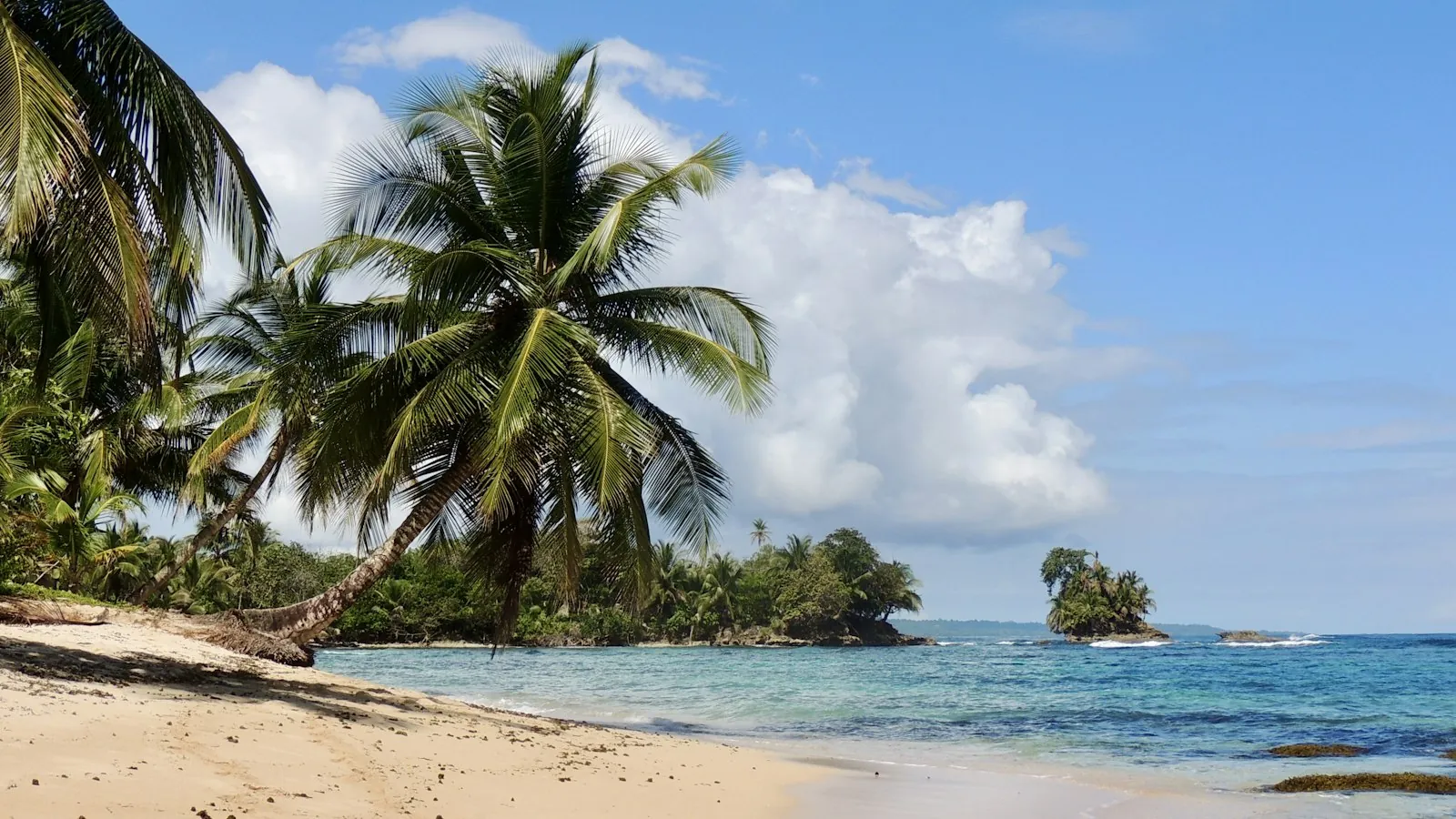 Palm-fringed beach and turquoise water in Bocas del Toro
