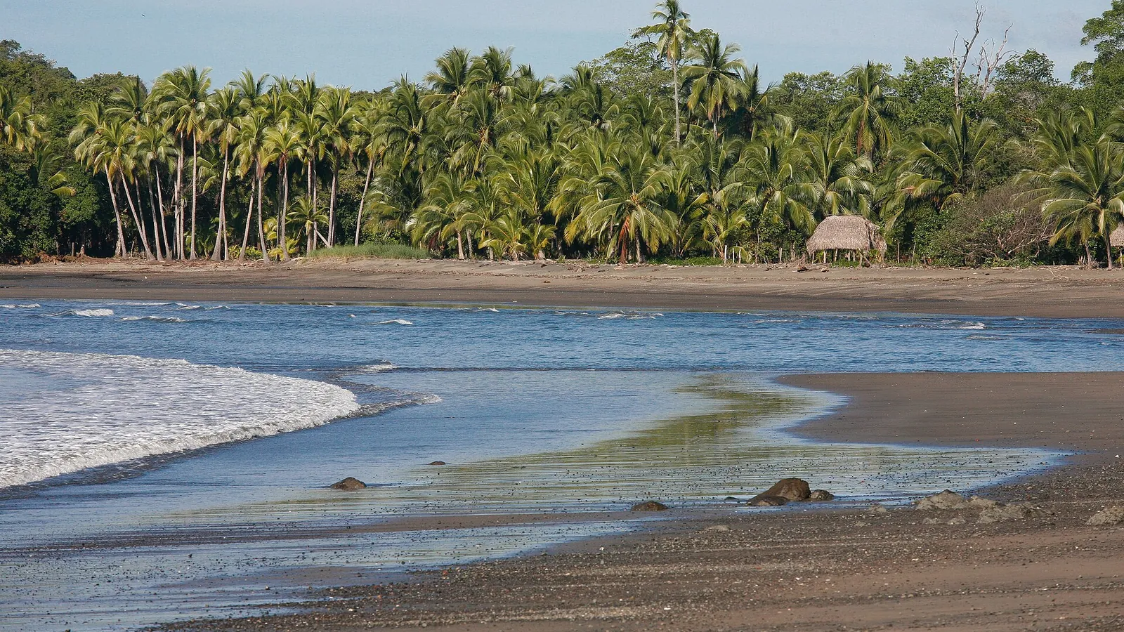 Palm-lined beach at Santa Catalina on the Pacific coast of Veraguas